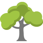 Woodstock Tree Trimming