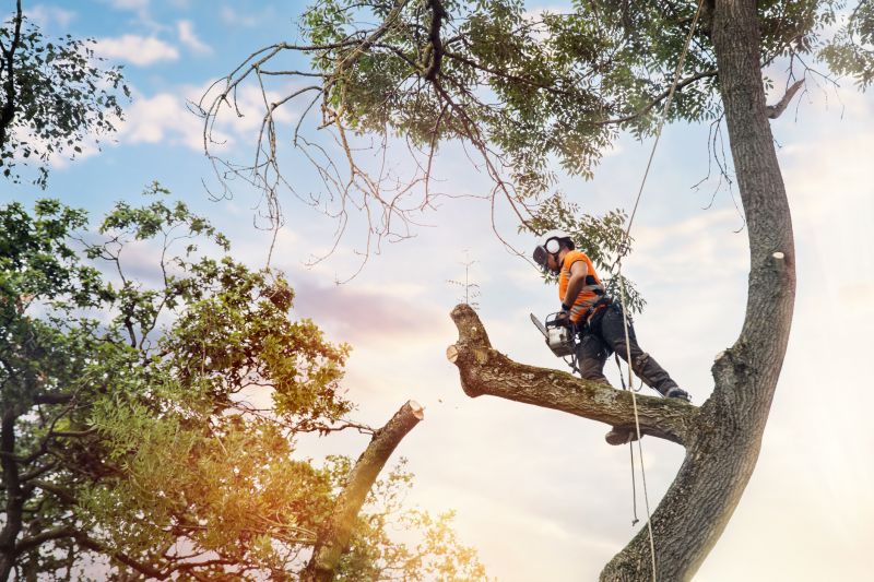 Arborist Climbing Equipment
